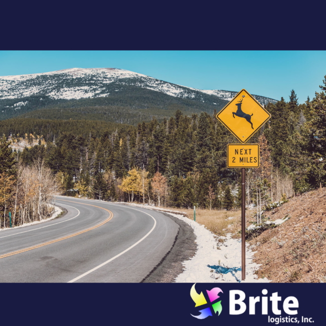 OCT blog-1 (3) deer mating season